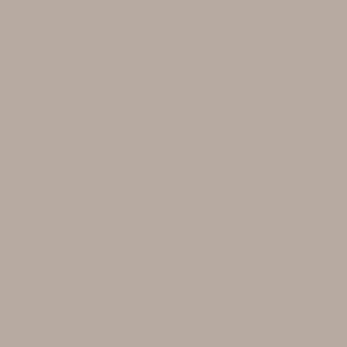 BASIC TAUPE